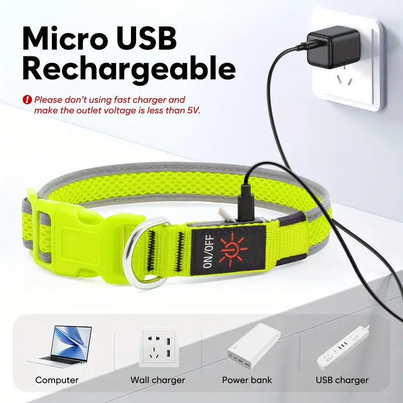 USB Rechargeable LED Dog Collar Lights