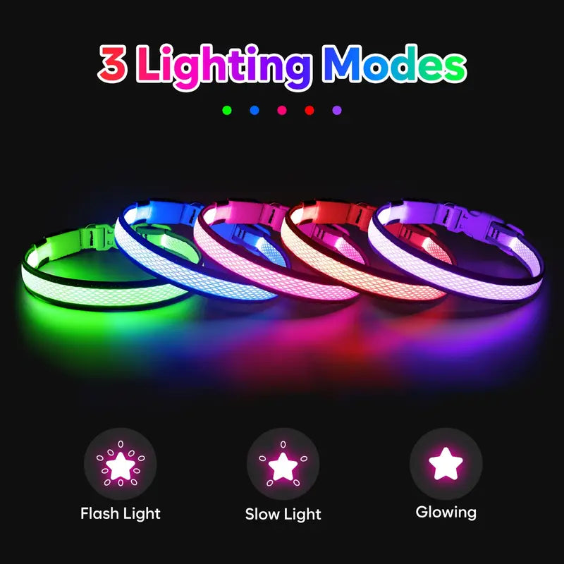 USB Rechargeable LED Dog Collar Lights