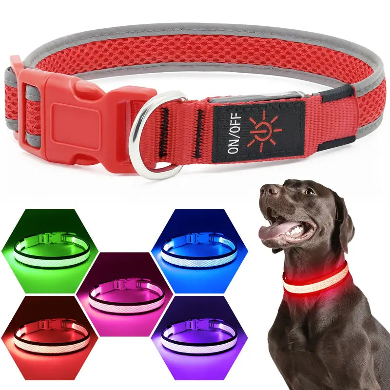 USB Rechargeable LED Dog Collar Lights