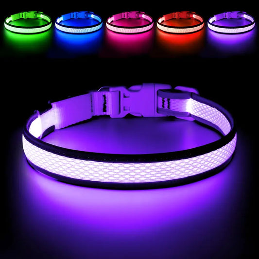 USB Rechargeable LED Dog Collar Lights