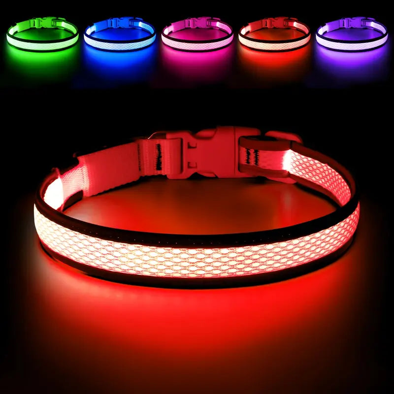 USB Rechargeable LED Dog Collar Lights