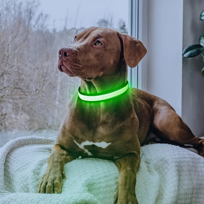 USB Rechargeable LED Dog Collar Lights